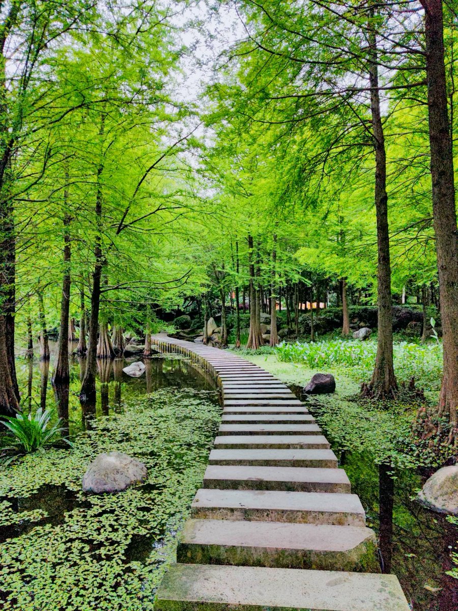 WilliamHBoney's tweet image. "Morning jog turned scenic detour  Found a hidden lake by the forest trail—sunlight on water, birds singing. Perfect start to the day!  #NatureEscape #MorningAdventure"