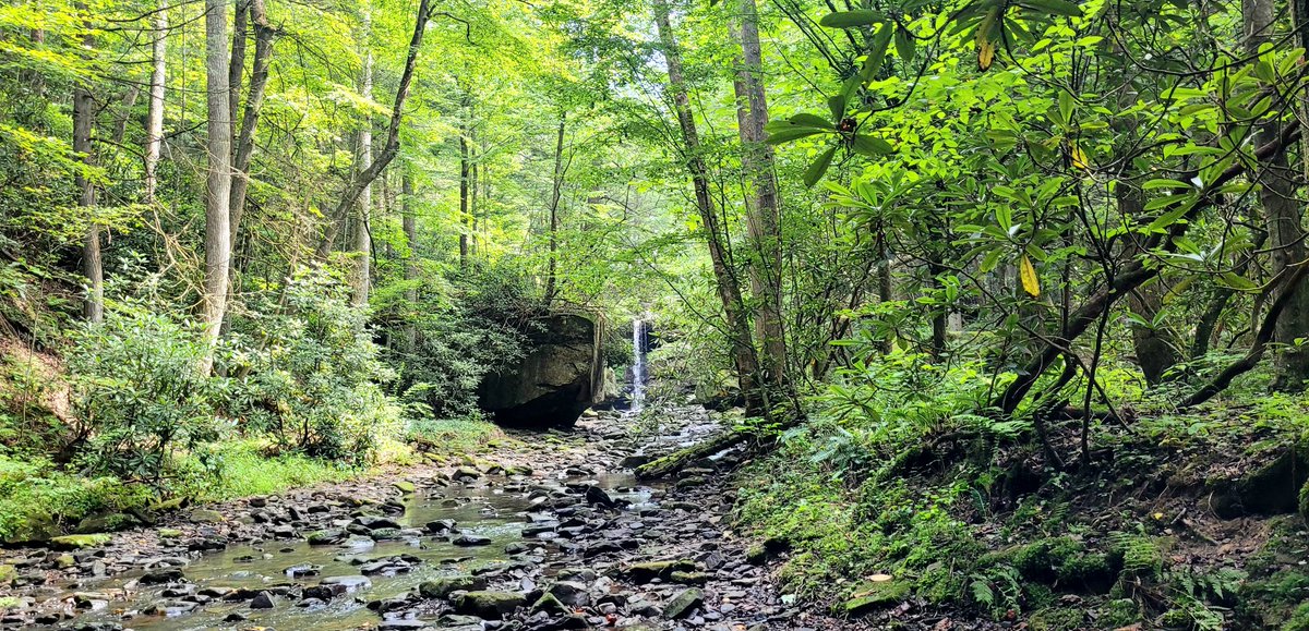 Take a walk in the woods.