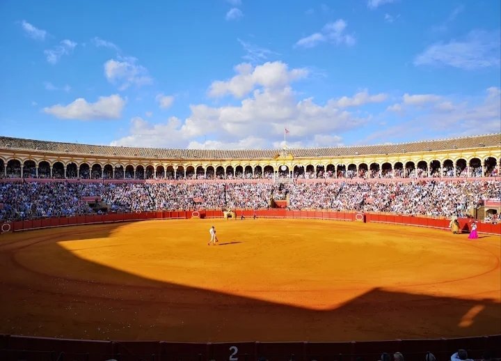 La Montera tweet media