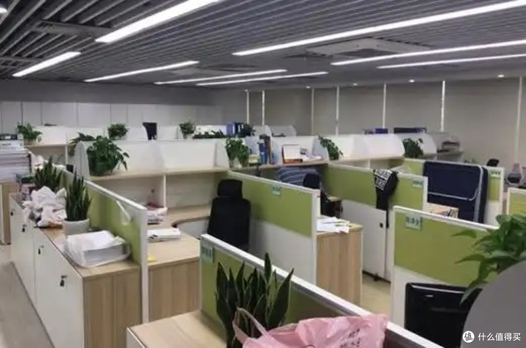 Junior_h26's tweet image. "When you thought you’d mastered the ‘walk and talk’… until your office plant decided to be a scene-stealer  (RIP my coffee, but the plant’s new ‘hairdo’ is iconic) #WorkHumor #PlantParentFail"