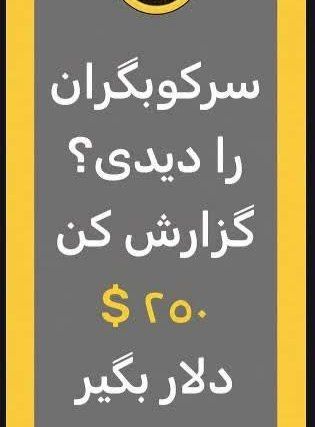محمود سعيدى مقدم 🎒 tweet media