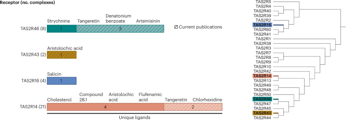 NatureStructMolBiol tweet media