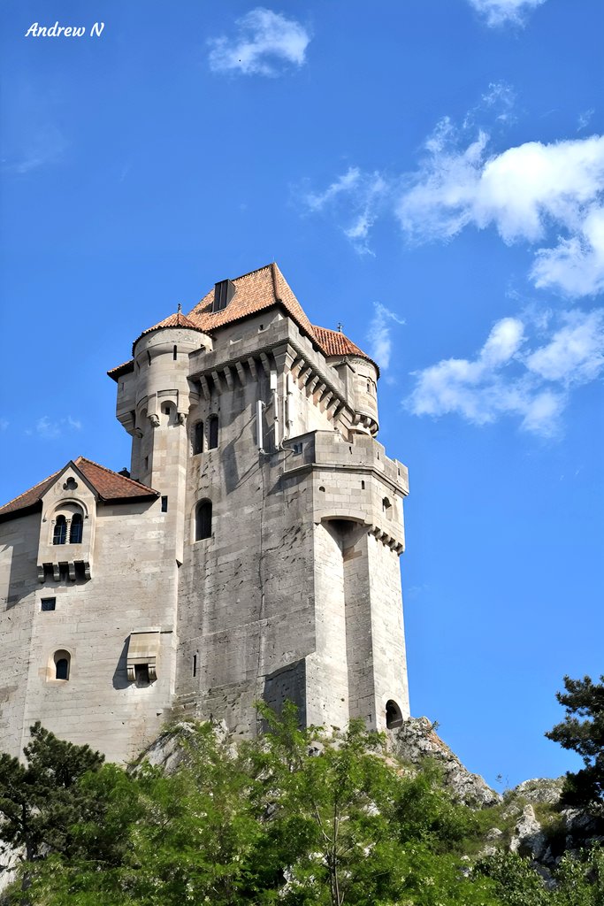 tsEmma15's tweet image. The Liechtenstein family took their name from this castle. Built in the 12th century, it survived Ottoman invasions and today proudly towers over the Vienna area. The name means "bright stone."
#Castle #Austria #architecture #Heritage #history
