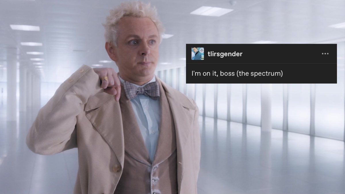 marti ⋆⋆⋆ gomens 3 spoilers tweet media