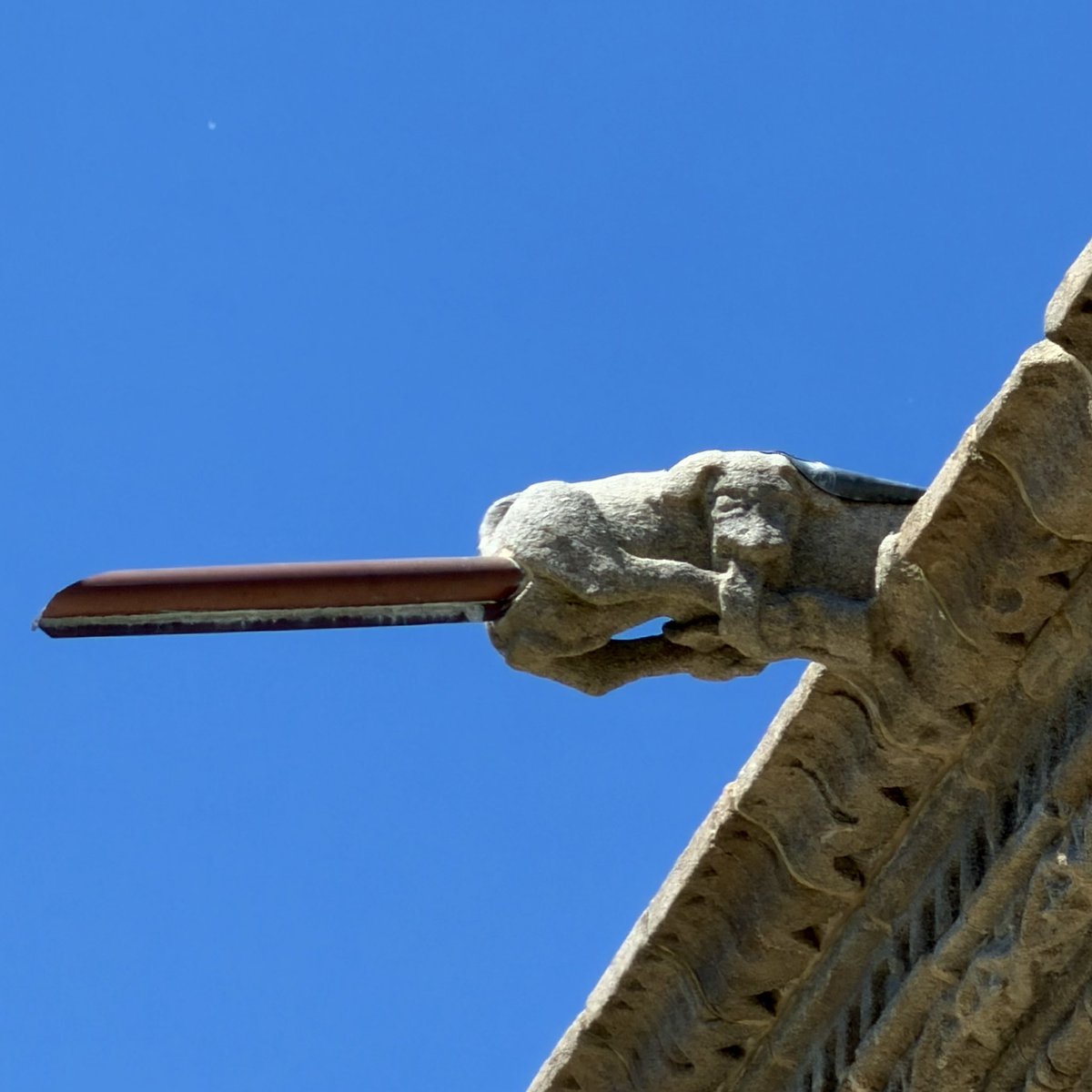 Compostela Daily Photo tweet media