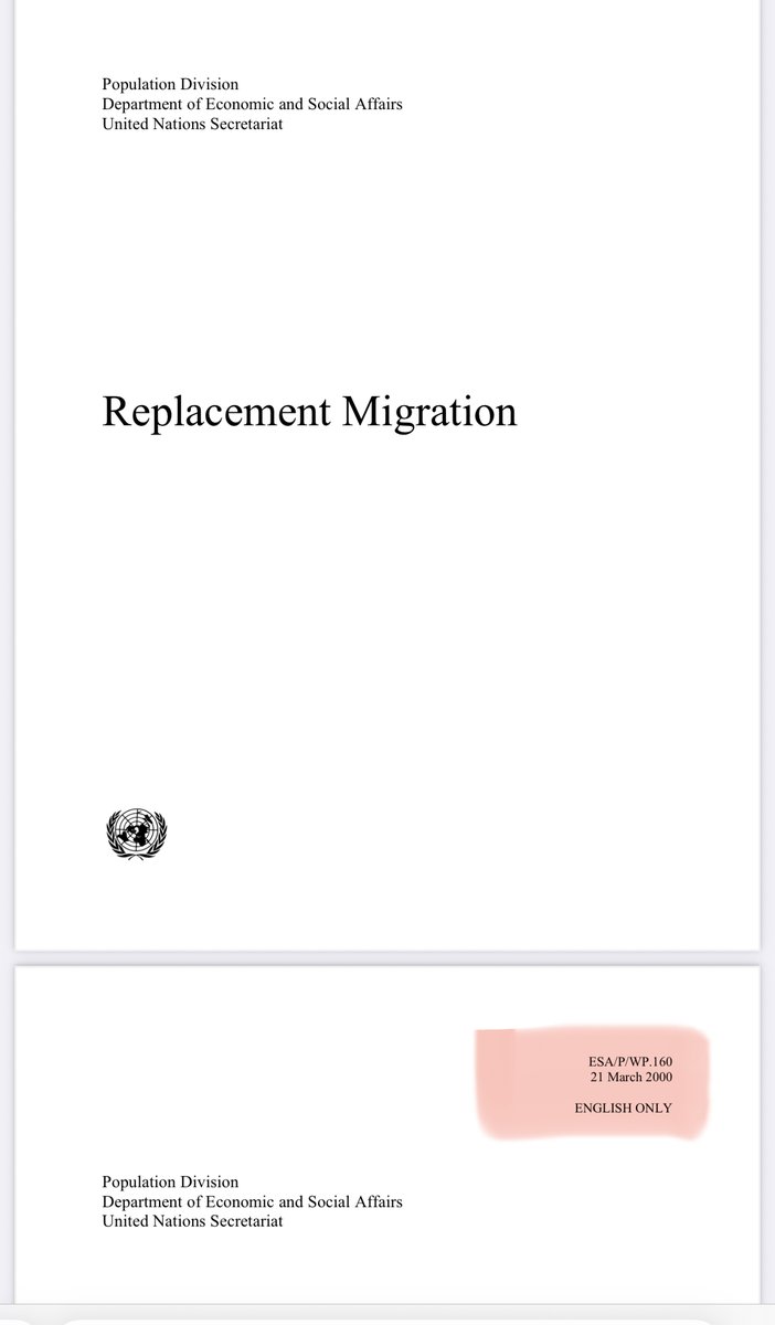 Bonnie Hamilton 🐭 ⚖️ 🌎 tweet media