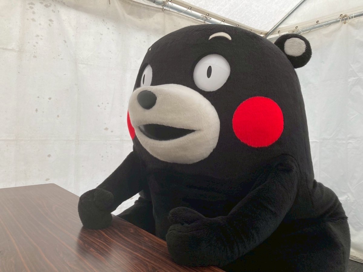 くまモン【公式】 tweet media