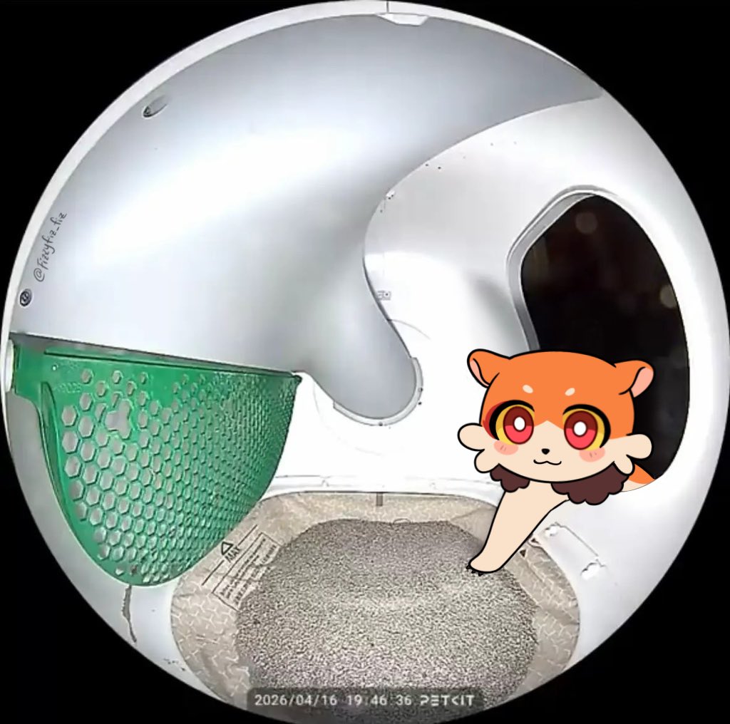 ✨Fiz✨ tweet media