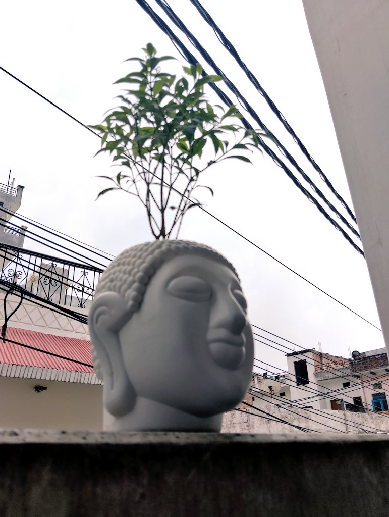 Rajiv_KP's tweet image. This is psychology 
And Buddha was the first psychologist of humankind to teach this relationship of desire &amp;amp; suffering, and way to get rid of this 🧬🦋

    **Desire is the root of all suffering**

#Psychology #Buddha #Relationship #suffering #Desire