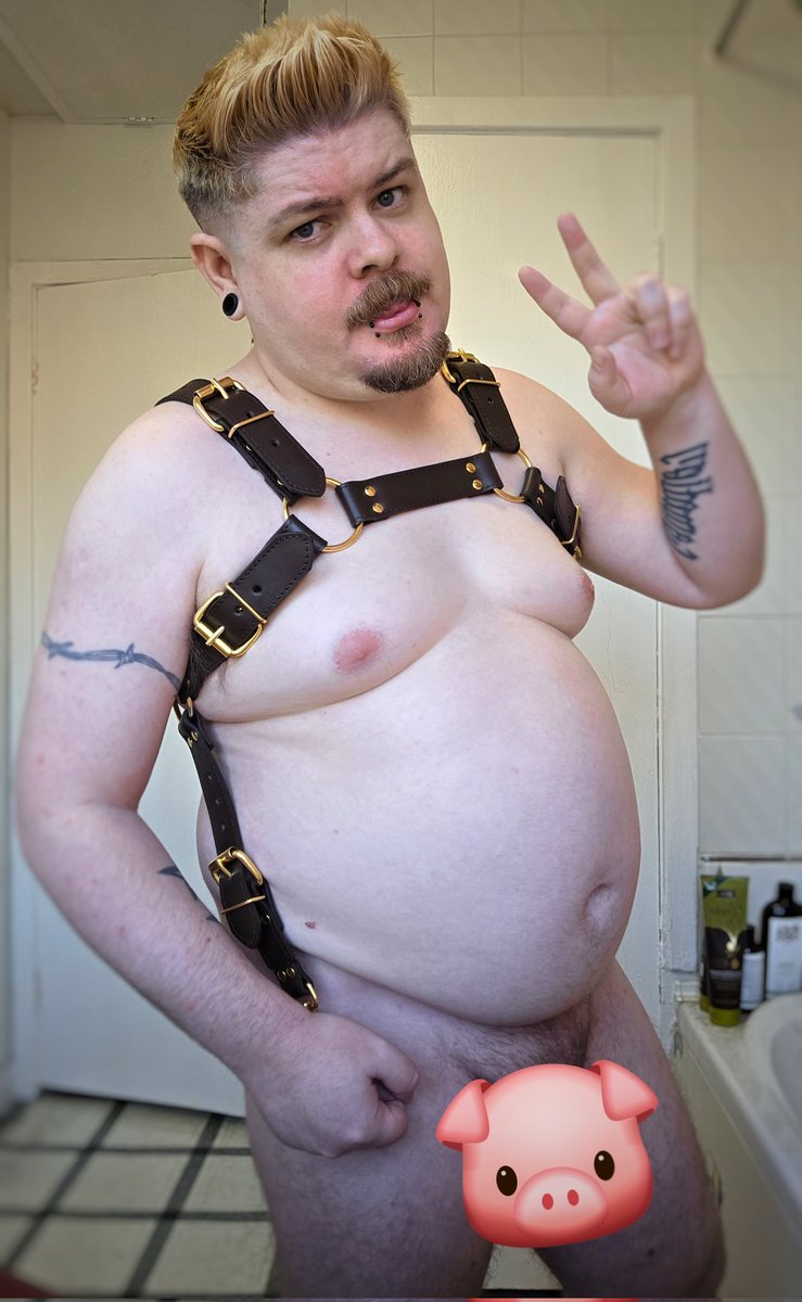 ☘️🇮🇪 Dovah_Pig🔜GBBB26 🐷🏳️‍🌈 tweet media