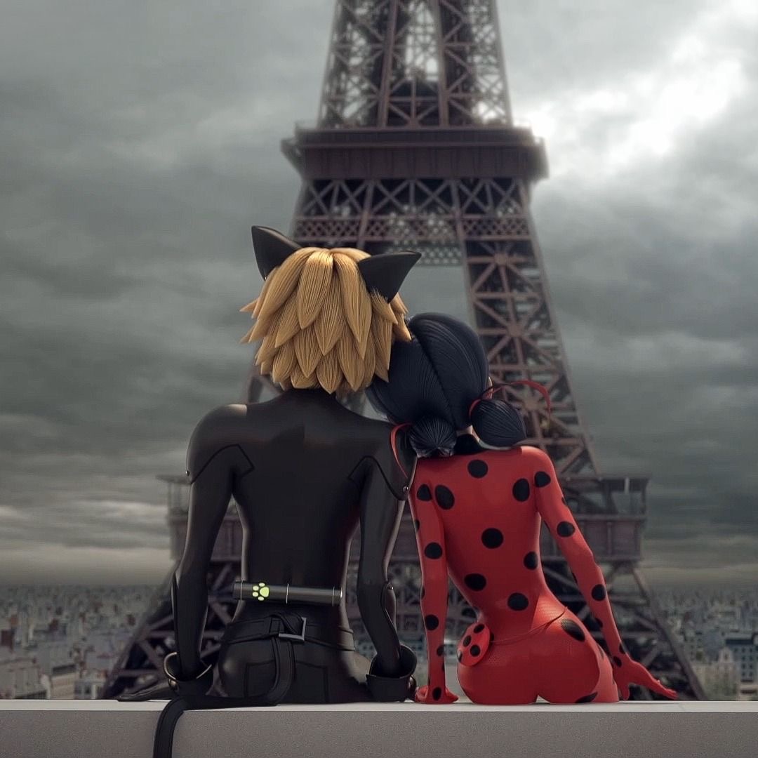 ladynoir ˚⋆🐞🐾 tweet media