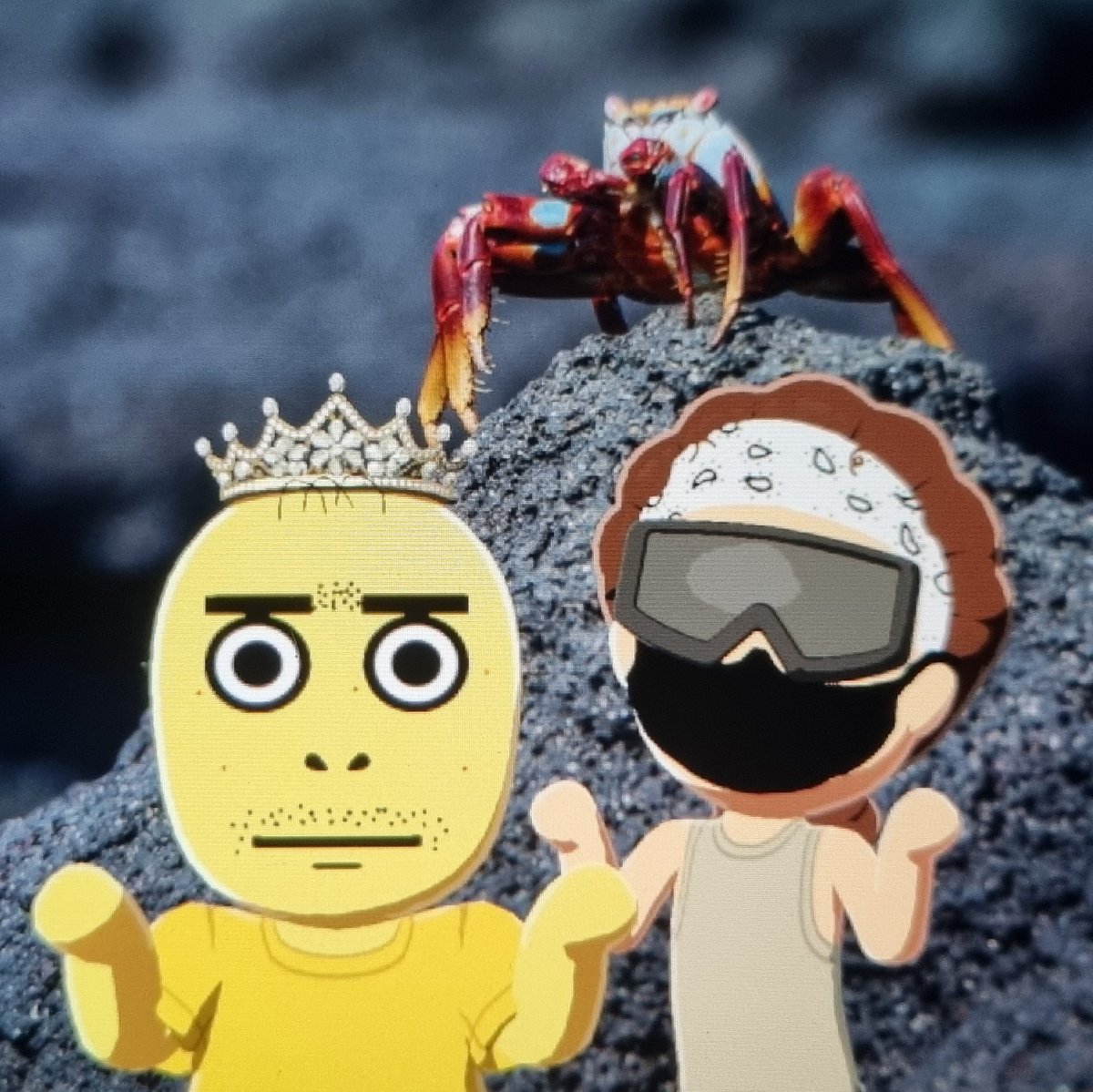 🦀Ken🦀 tweet media