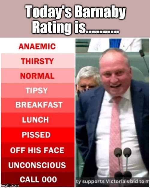 Casey: Realist-Centre-to-Left. tweet media