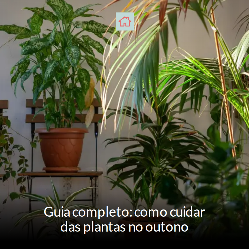 casacombr's tweet image. 🍂🌱 O outono chegou e os cuidados com as plantas no seu jardim precisam ser redobrados! Ajustar a rega, realizar podas leves e proteger do frio são passos essenciais para garantir um jardim saudável! Veja dicas completas! #Jardinagem... mrf.lu/HP6Q