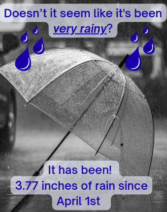 EC Dept Homeland Security & Emergency Services 🚨 tweet media