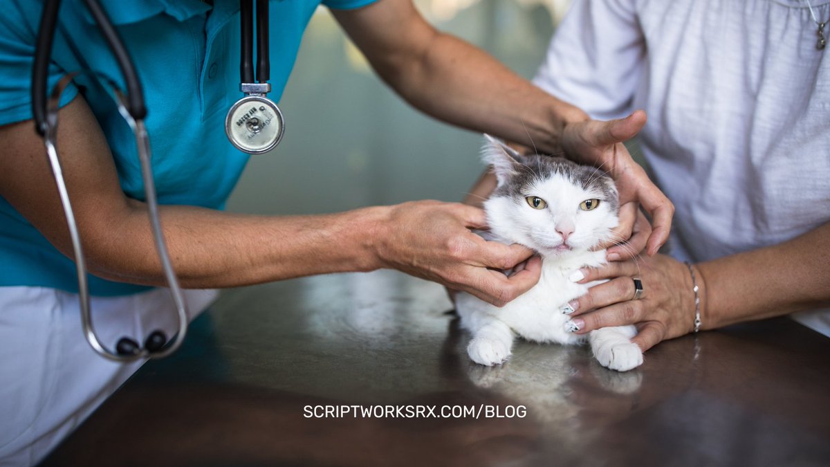 ScriptWorks Rx tweet media