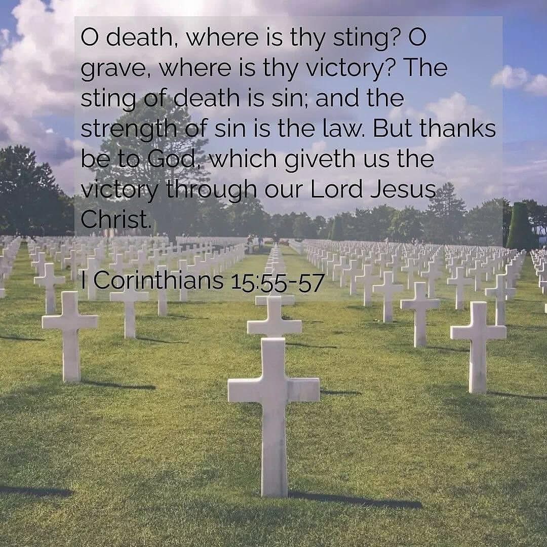 Marty Mosley (@martymosley) on Twitter photo 