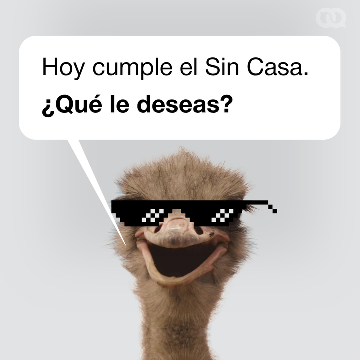 El Toque tweet media