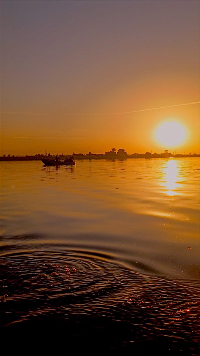 𝒮𝒽𝒶𝓏𝒶🪻 tweet media