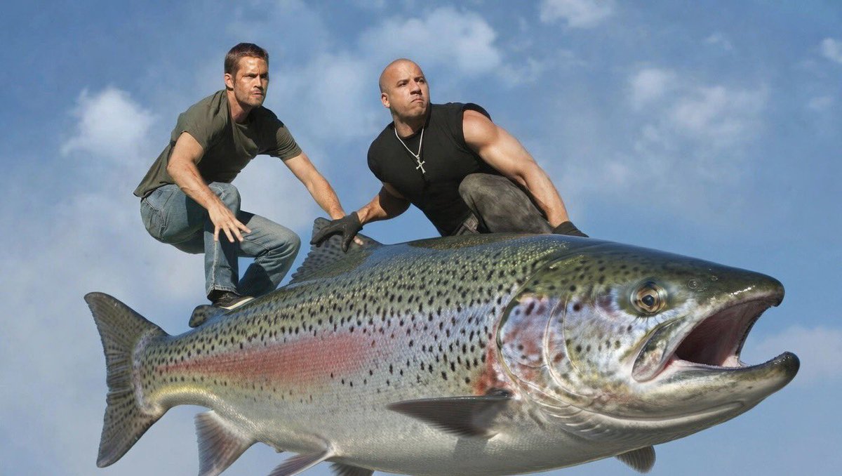 wytch33's tweet photo. @0xBossman Scooping up that $BigTrout. https://t.co/SUZ05bM4Hk