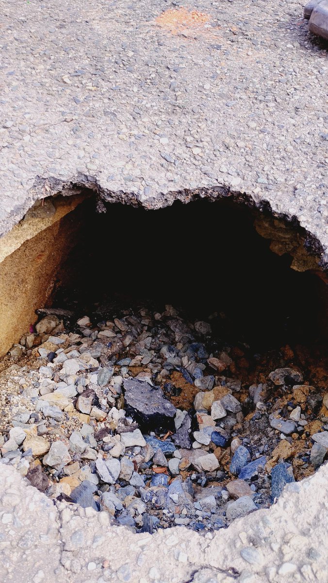 Yhonatan tweet media