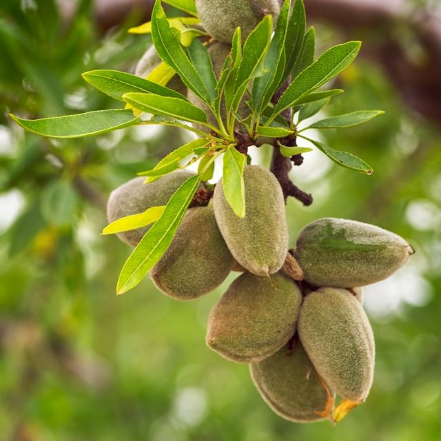 International Association for Food Protection tweet media