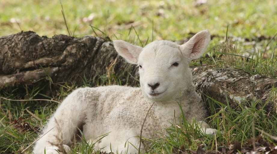 Catherine Blaiklock tweet media