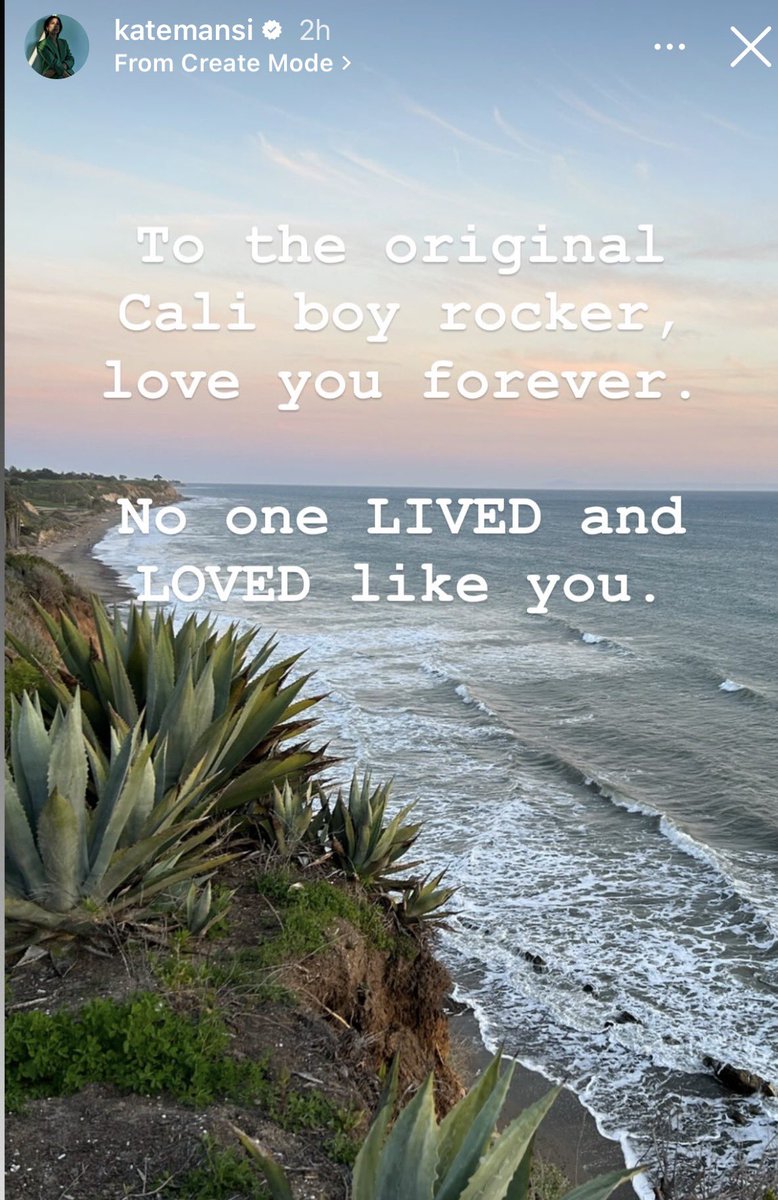 ✨Livie ✨ tweet media