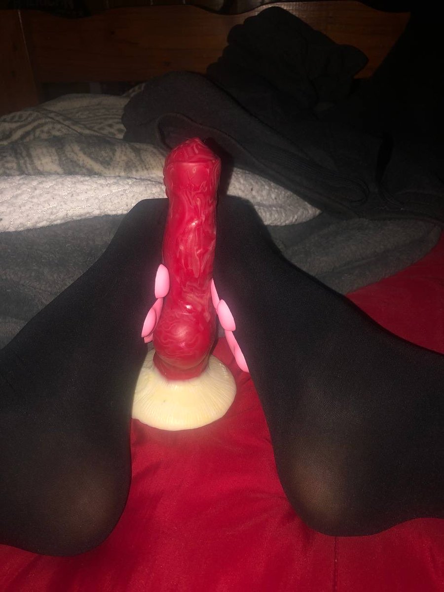 cdr_dog's tweet photo. Feeling a little horny might delete later https://t.co/JXMRjVBXXS