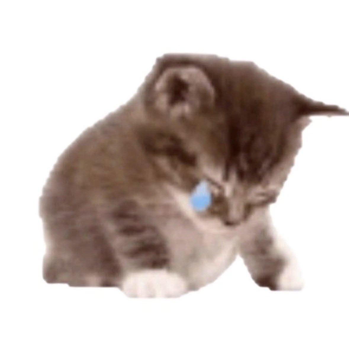 PsychopathhunterVT tweet media