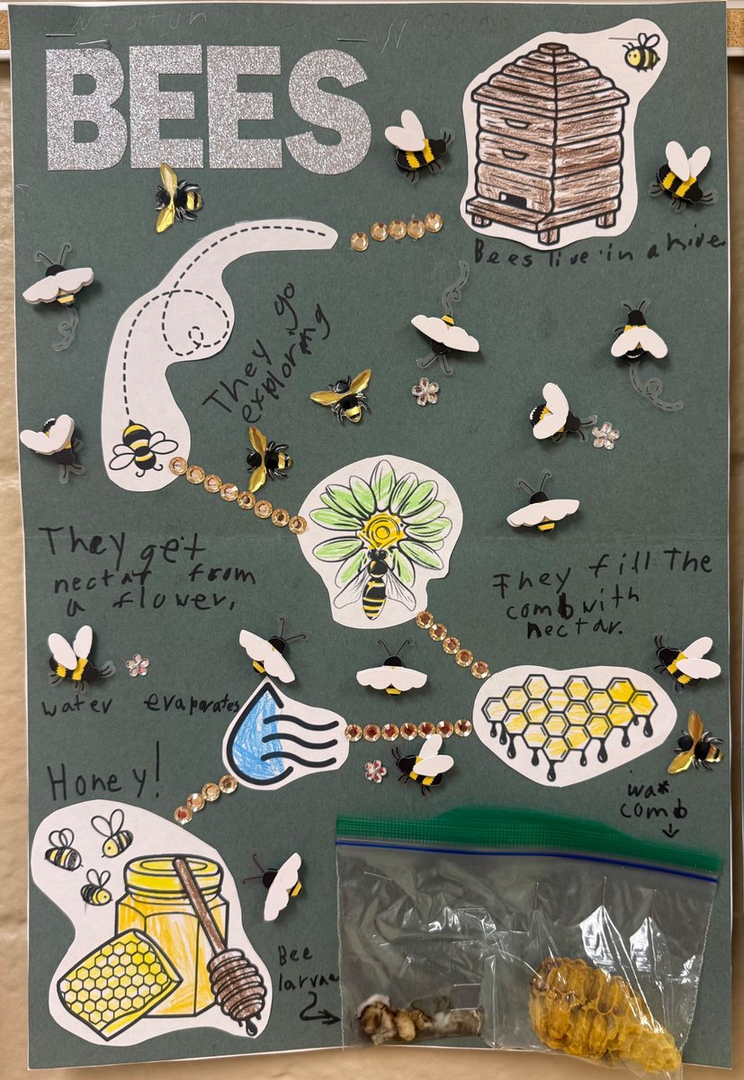 Norris Elementary School tweet media