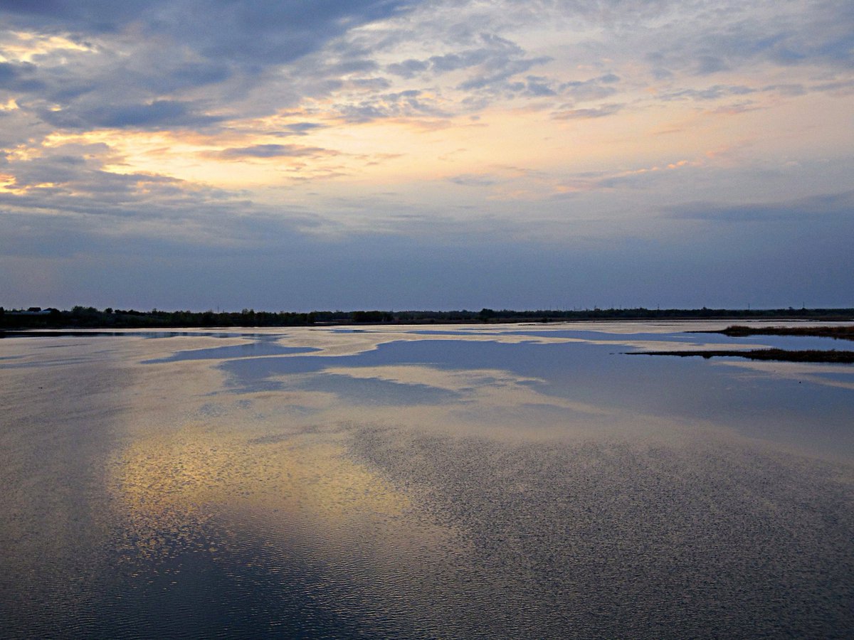 ZhannaPhoto's tweet image. Early morning.
#MondayVibes