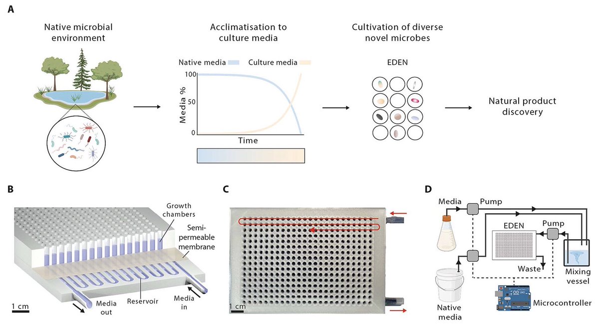 Harry Low’s Lab tweet media