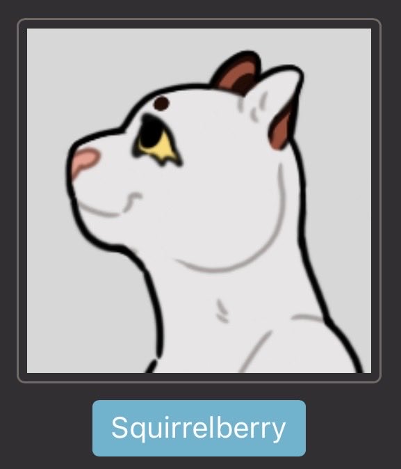 KaijuMutt's tweet image. 💕🐱BONDED PAIR OTA🐱💕

Squirrelberry and Ravenear are a sweet little couple best adopted as a pair! They come with their TH profiles, all of their art, as well as an icon for each!💛💚

🔸SB: $60

🔹AB: $130

#warriorcats #wc #bid #OTA #forsale #adopt #adoptables #oc #offer