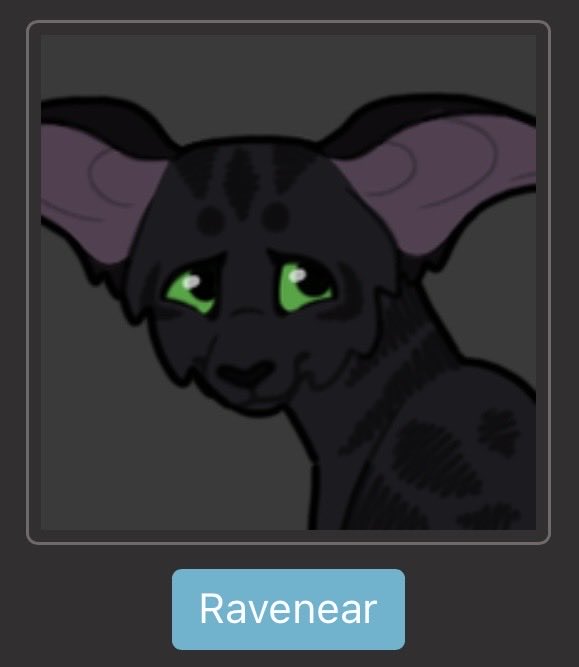 KaijuMutt's tweet image. 💕🐱BONDED PAIR OTA🐱💕

Squirrelberry and Ravenear are a sweet little couple best adopted as a pair! They come with their TH profiles, all of their art, as well as an icon for each!💛💚

🔸SB: $60

🔹AB: $130

#warriorcats #wc #bid #OTA #forsale #adopt #adoptables #oc #offer