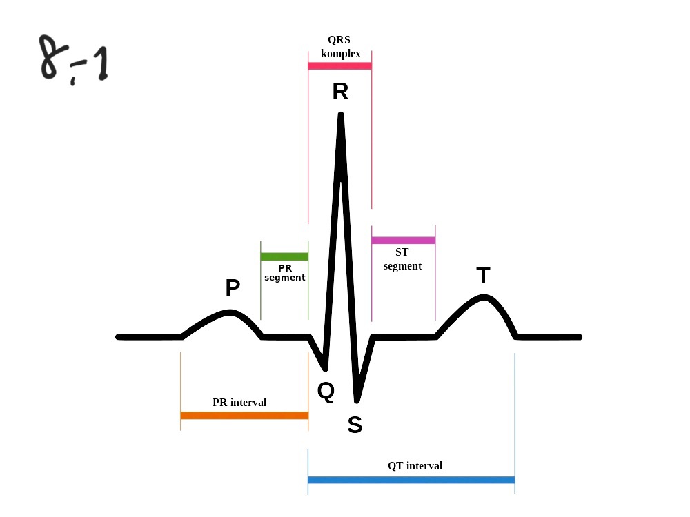 🌳Rei⁷💜 tweet media