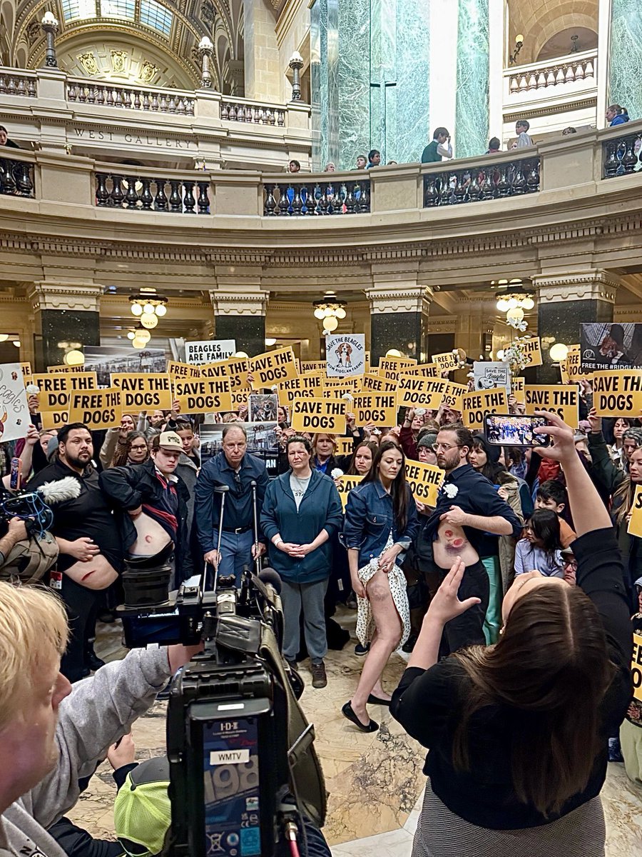 dominic dyer tweet media