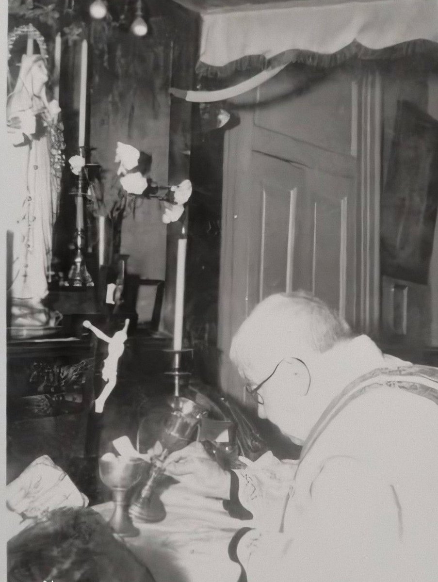 Nel 1913 Padre Dolindo Ruotolo si recò un giorno all'Ospedale Pellegrini di Napoli per pregare con i pazienti.

“Entrando nel reparto di chirurgia maschile,” scrive nella sua autobiografia, “Mi è sembrato di vedere Gesù stesso disteso su quei letti di sofferenza.”

Uno di quei