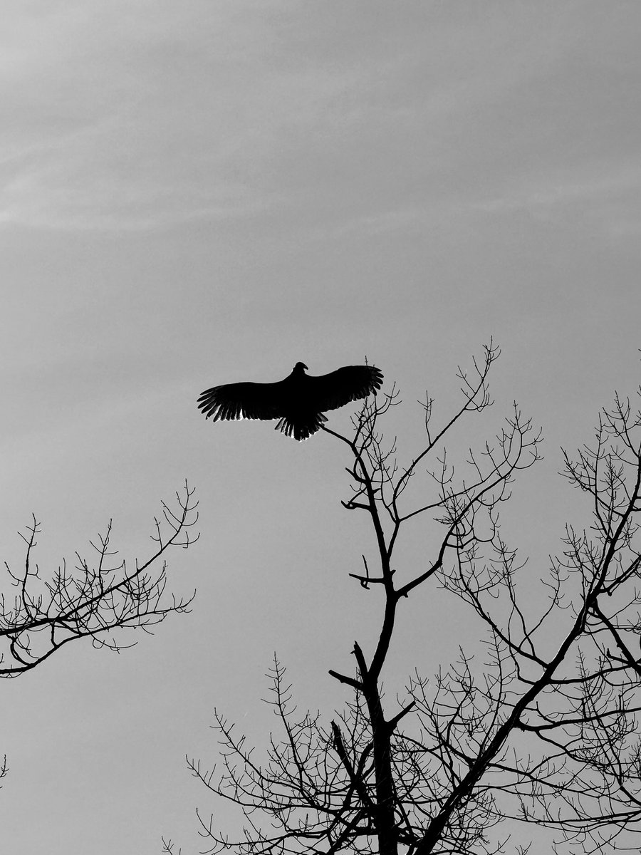 Happy #MonochromeMonday!
Where black &amp; white tells the real story. 
Share your favourite frames. 📸