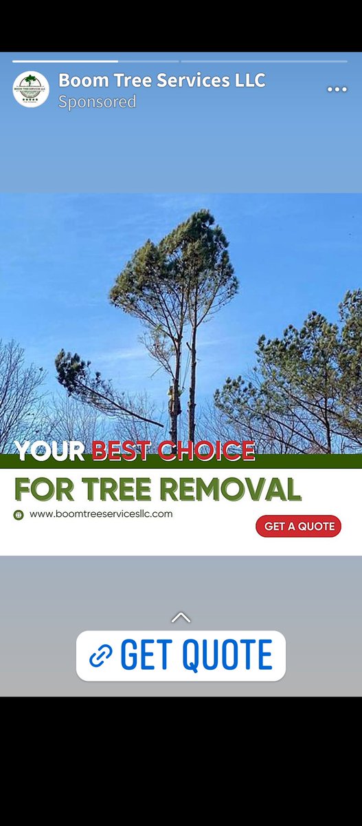 Nancy D. tweet media