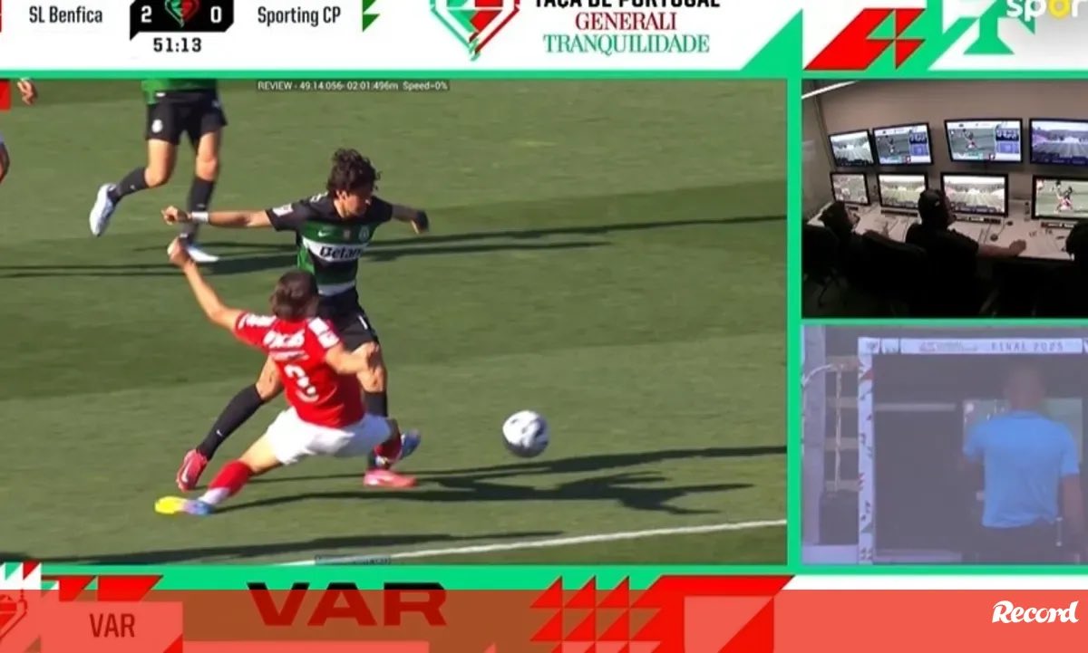 Dinocas☀️🌊 tweet media