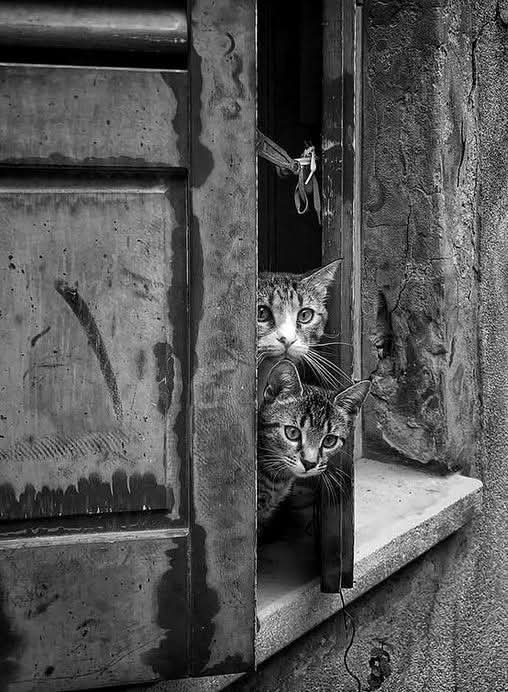 #PalabrasSueltas 🪶 tweet media