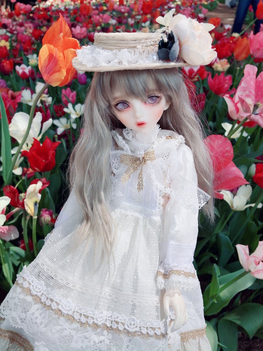 きんせんか (@potmarigold31) on Twitter photo 