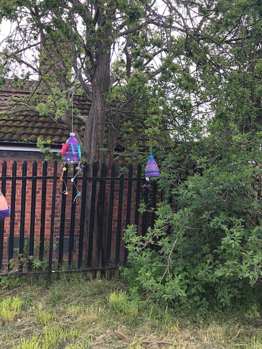 SameDifferenc17's tweet photo. Wonderful focus from our super talented learners creating wind charms and then lovely hanging them in our new garden. 👏🏻🥰 https://t.co/h44dwe08Um