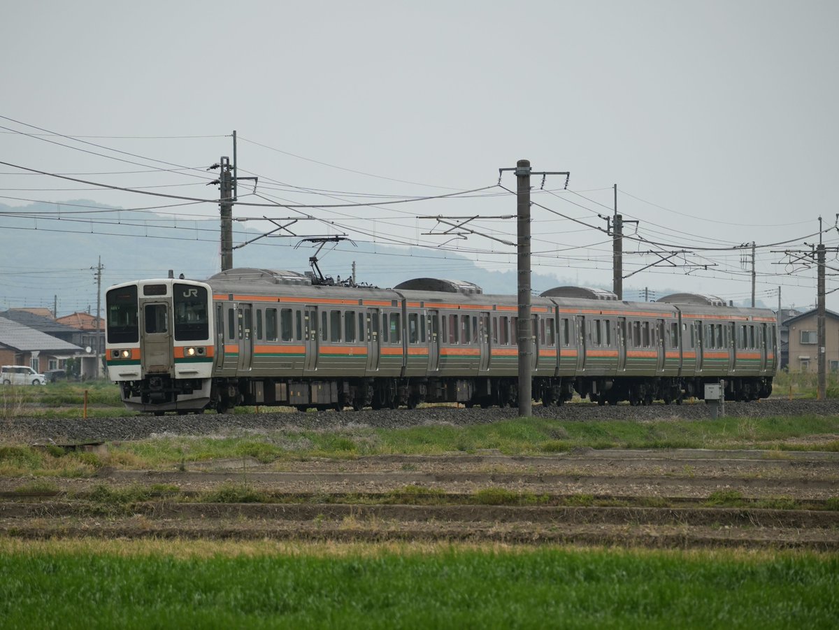 リバティ常磐 tweet media