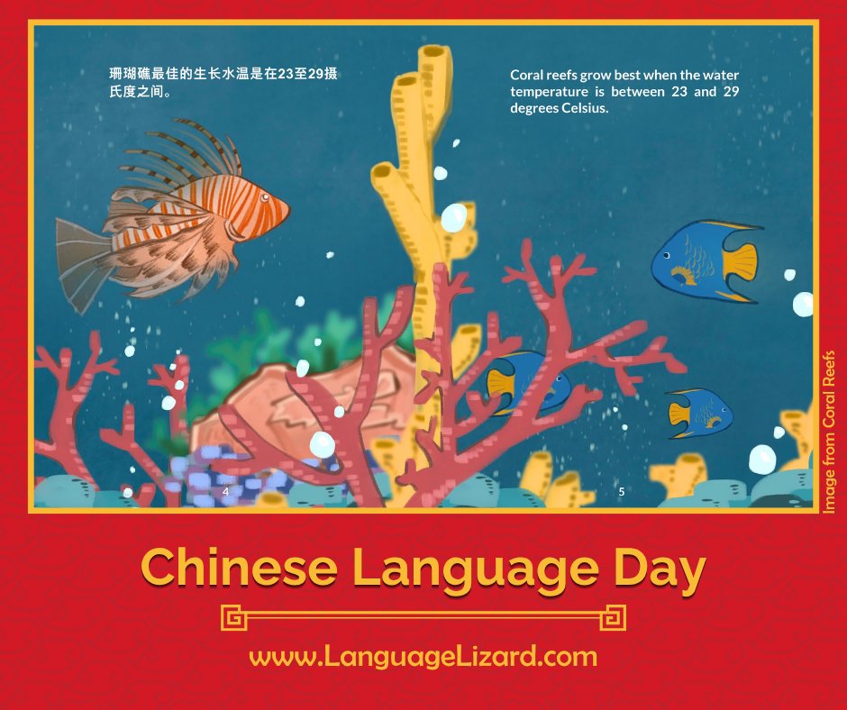Language Lizard tweet media