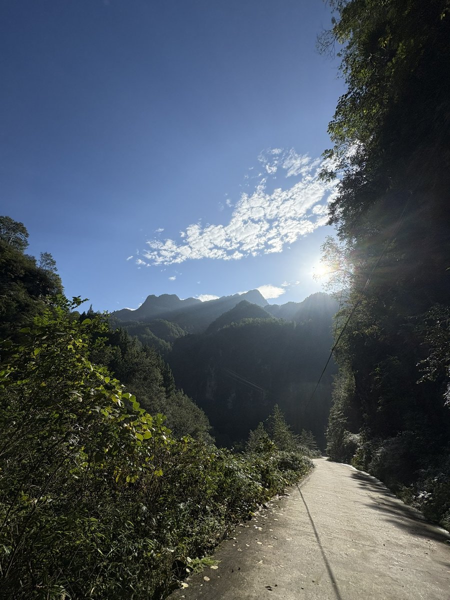 maria jose ahijon tweet media