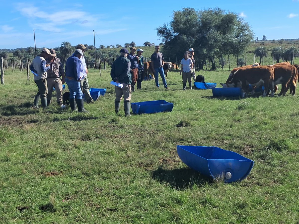 PlanAgro's tweet image. #ProcríaSeMueve
En📍Paysandú, se realizó una visita grupal a 
📌Estab. "La Trece" de la Familia Caravia
👥Grupo "Paysandú Norte"🗓️17/4
🌱Recorrida de campo y puesta a punto
✔️477 ha
✔️Ciclo incompleto #vacuno
Téc. ext. Dr. Ramiro Orihuela 

#Procría #Ganadería #ExtensiónRural