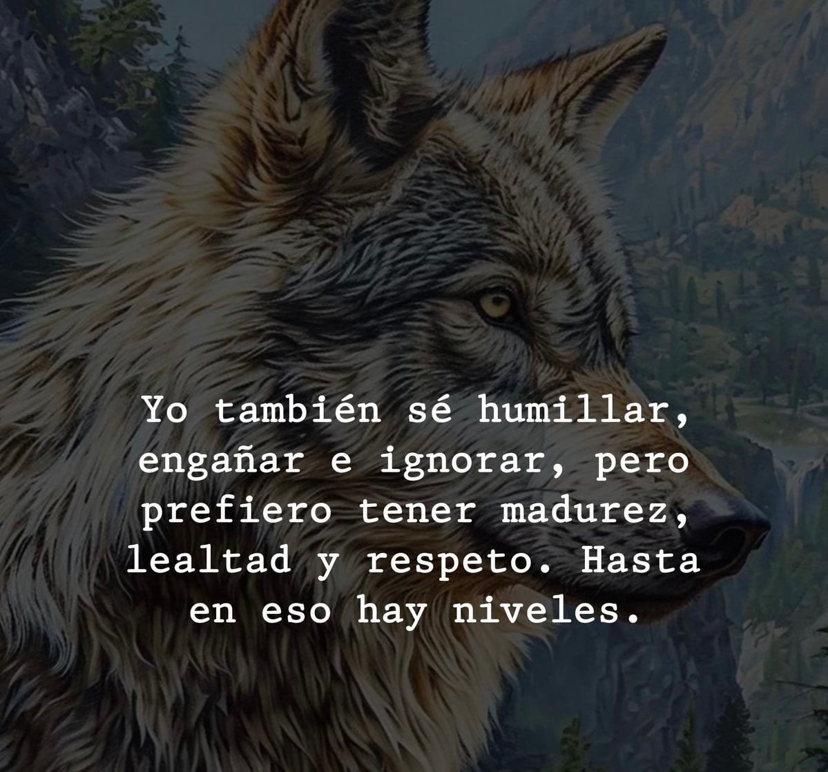 239_lonewolf's tweet image. 