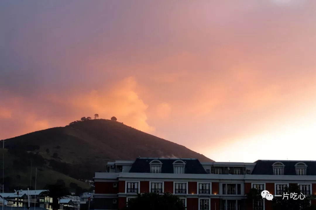 Olga Yemetta tweet media